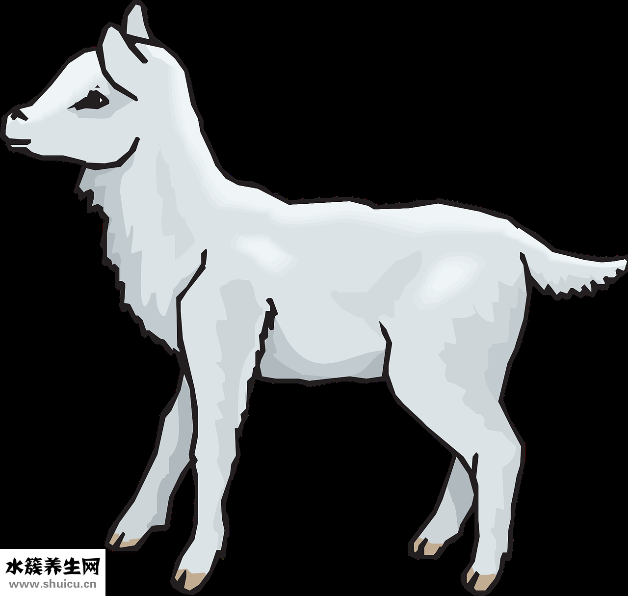 阳气低怎么办