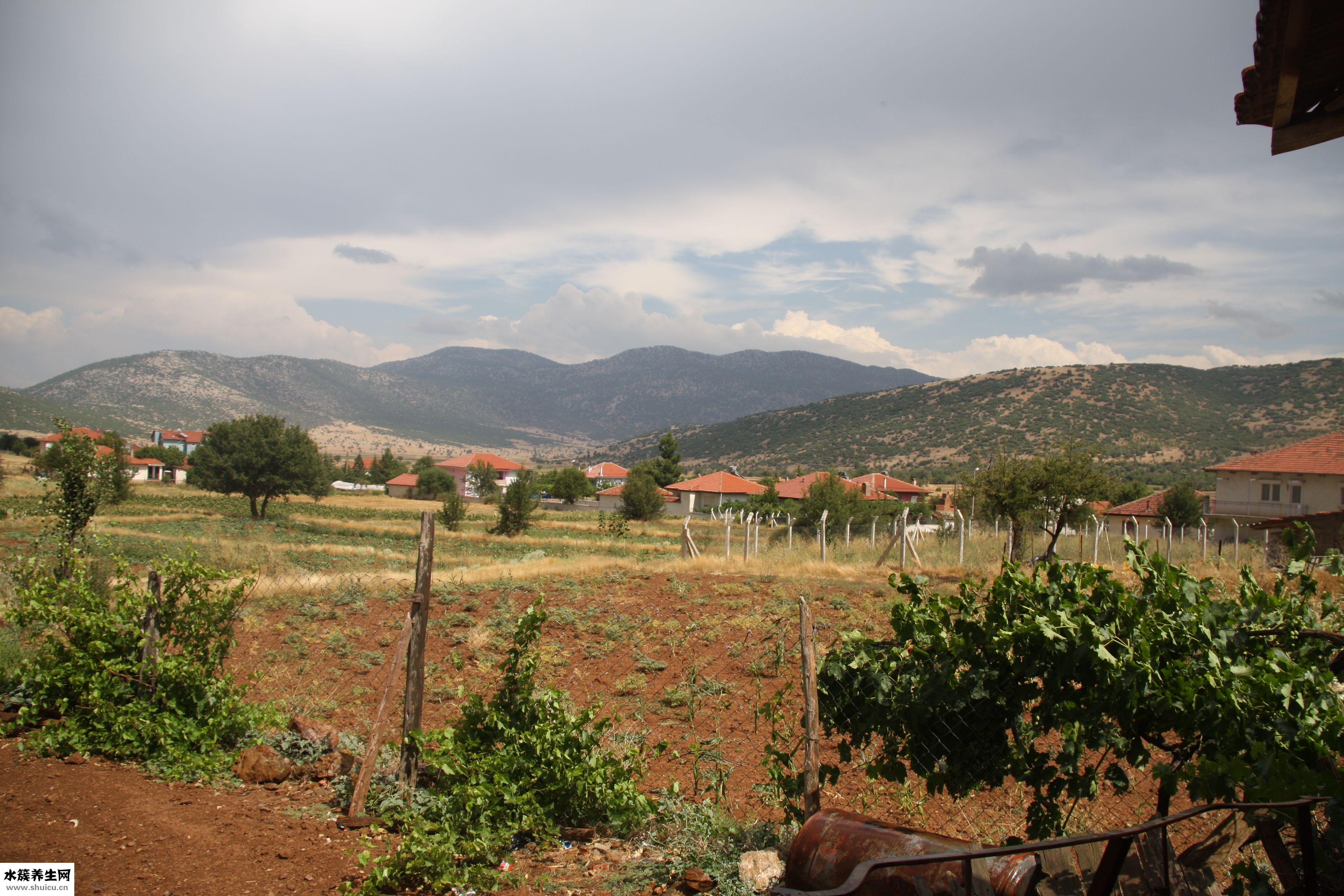 怎么在家自制烟