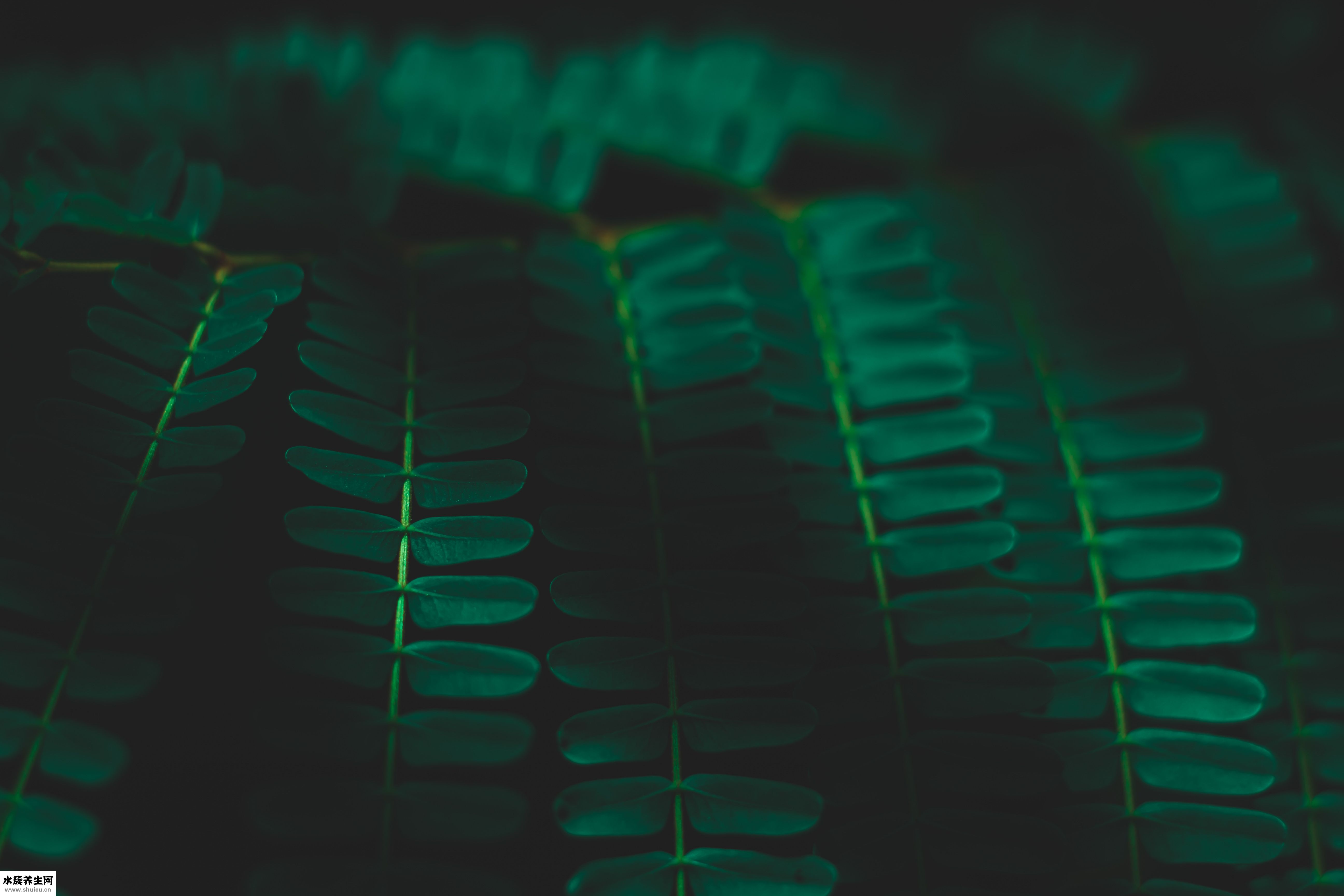 怎么让阴道紧致