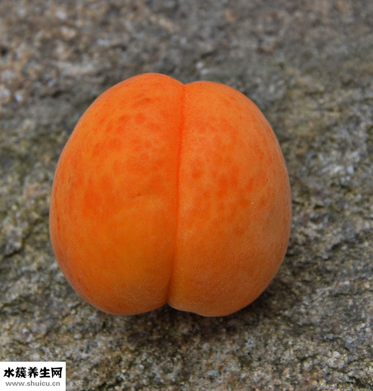 嗓子吃咸了怎么办