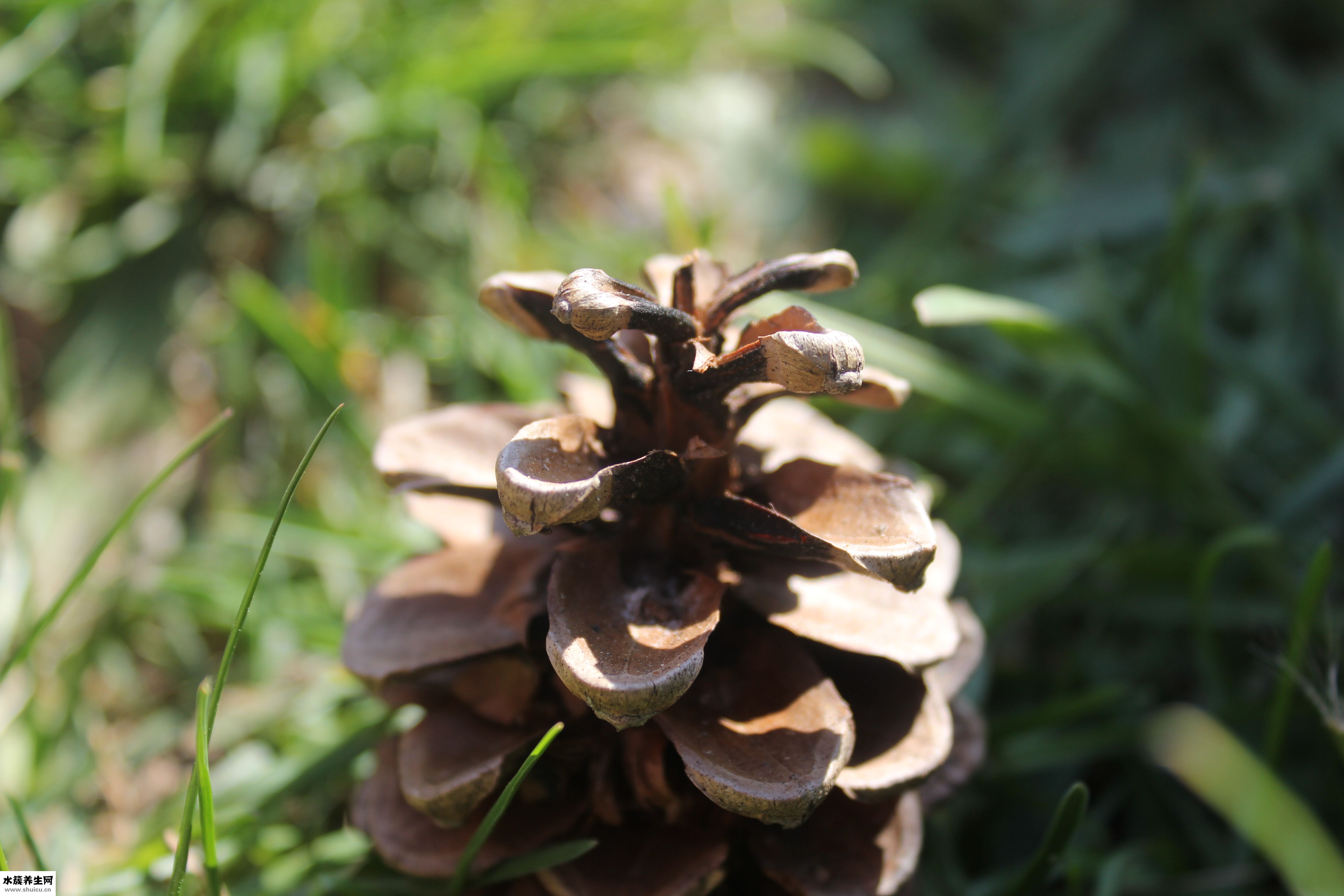 怎么用钩针钩围巾