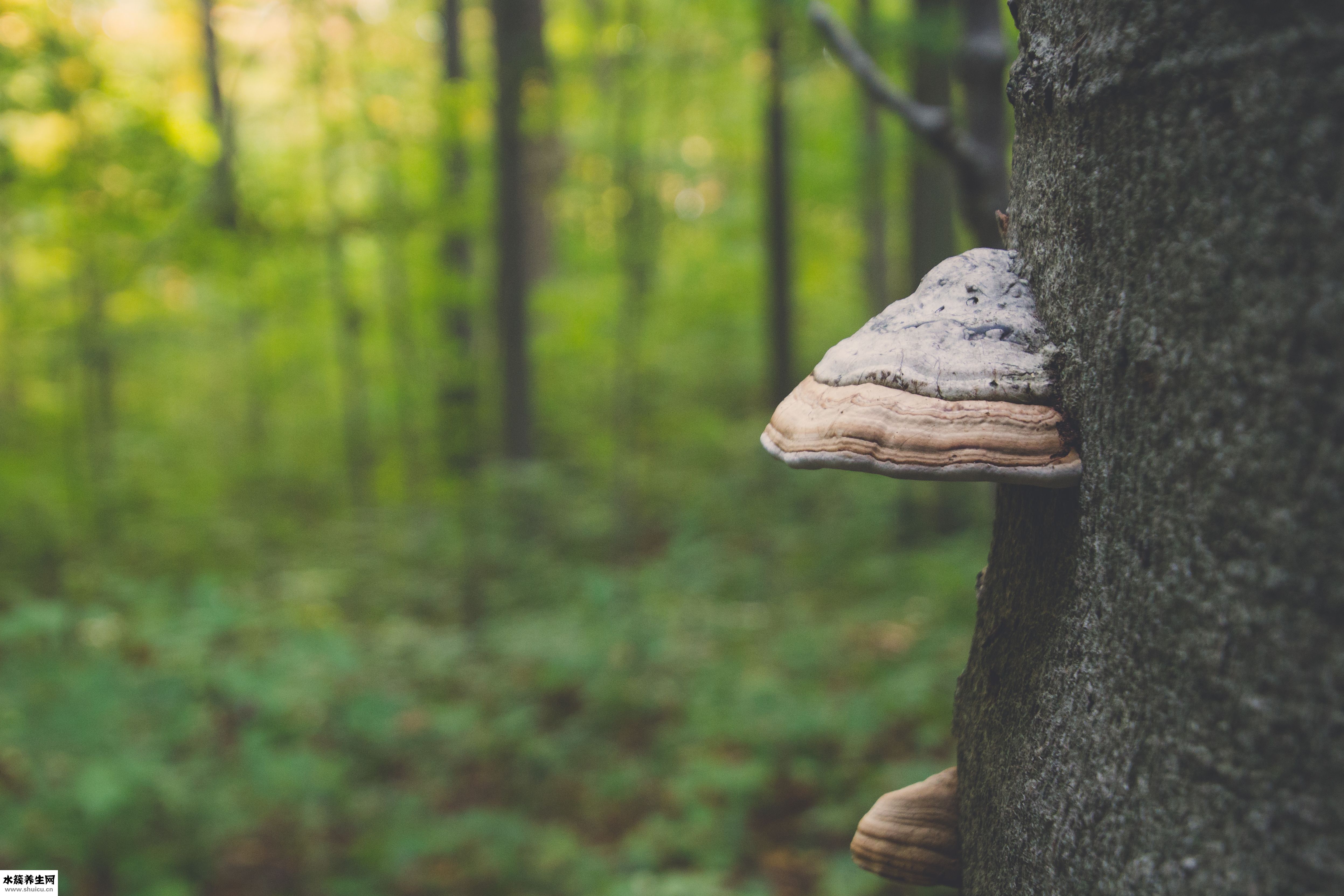 腿上有脚气怎么办