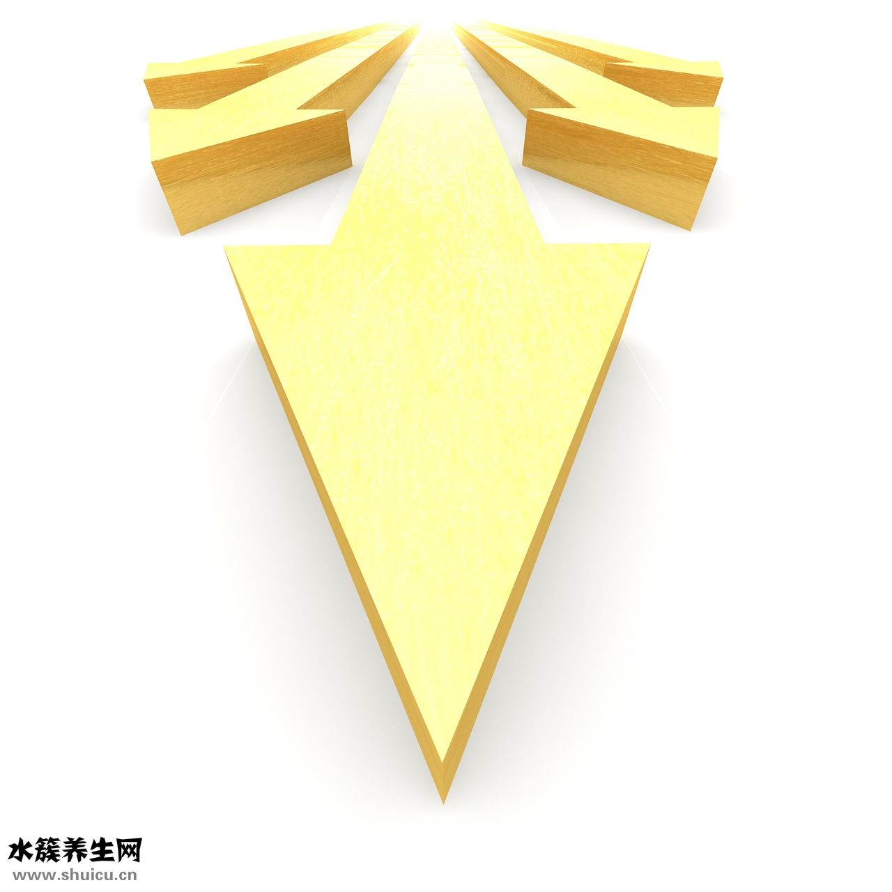 颈肌怎么锻炼