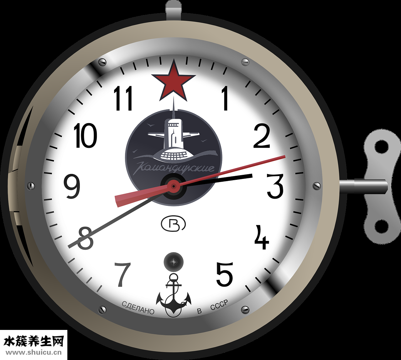 芦笋怎么存放