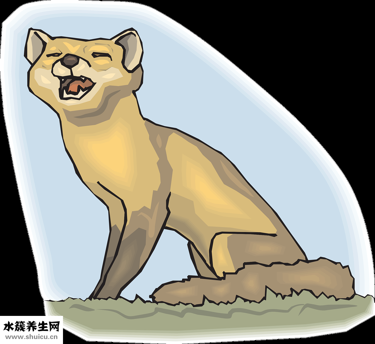 儿童怎么刮痧