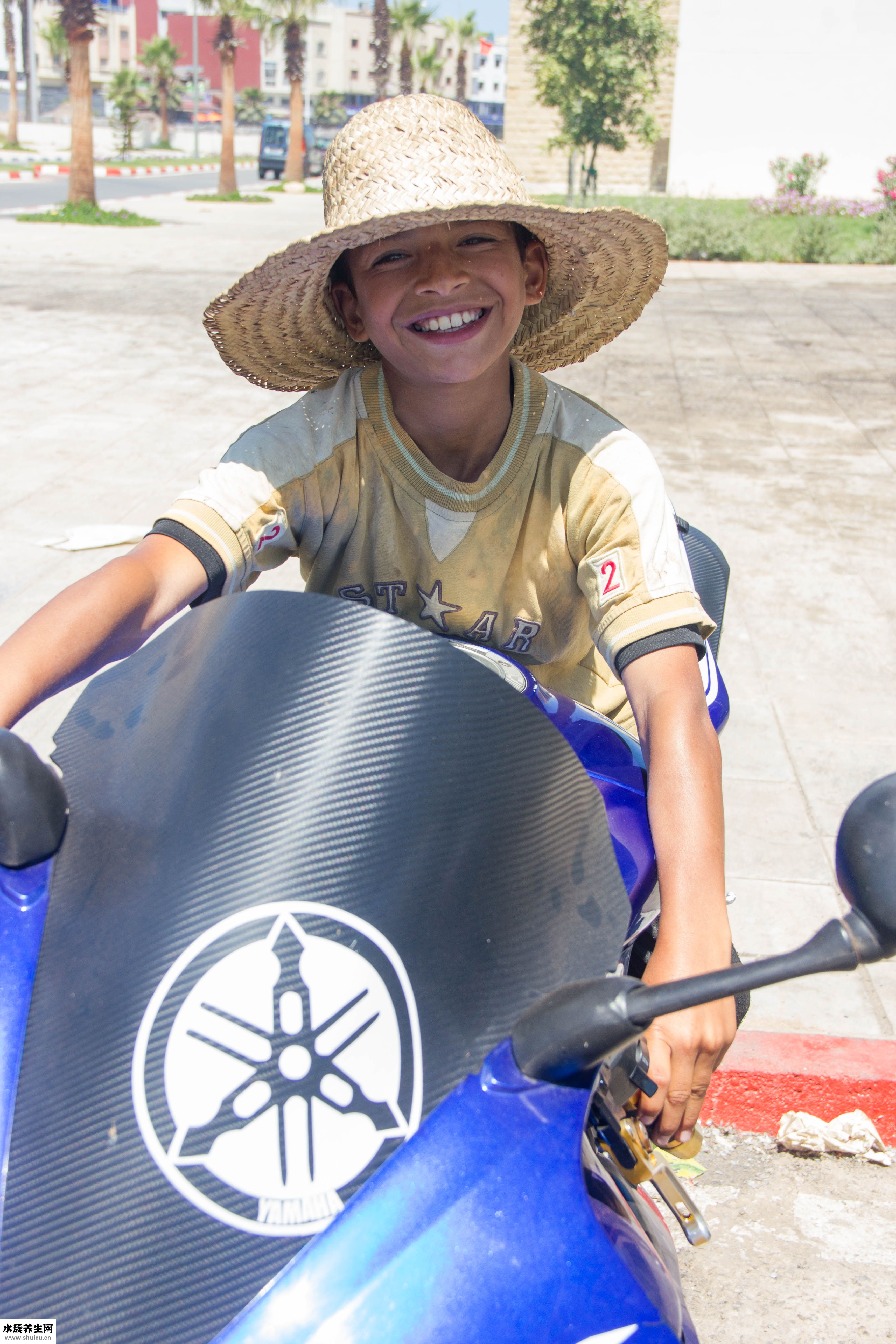 咯牙后牙疼怎么回事