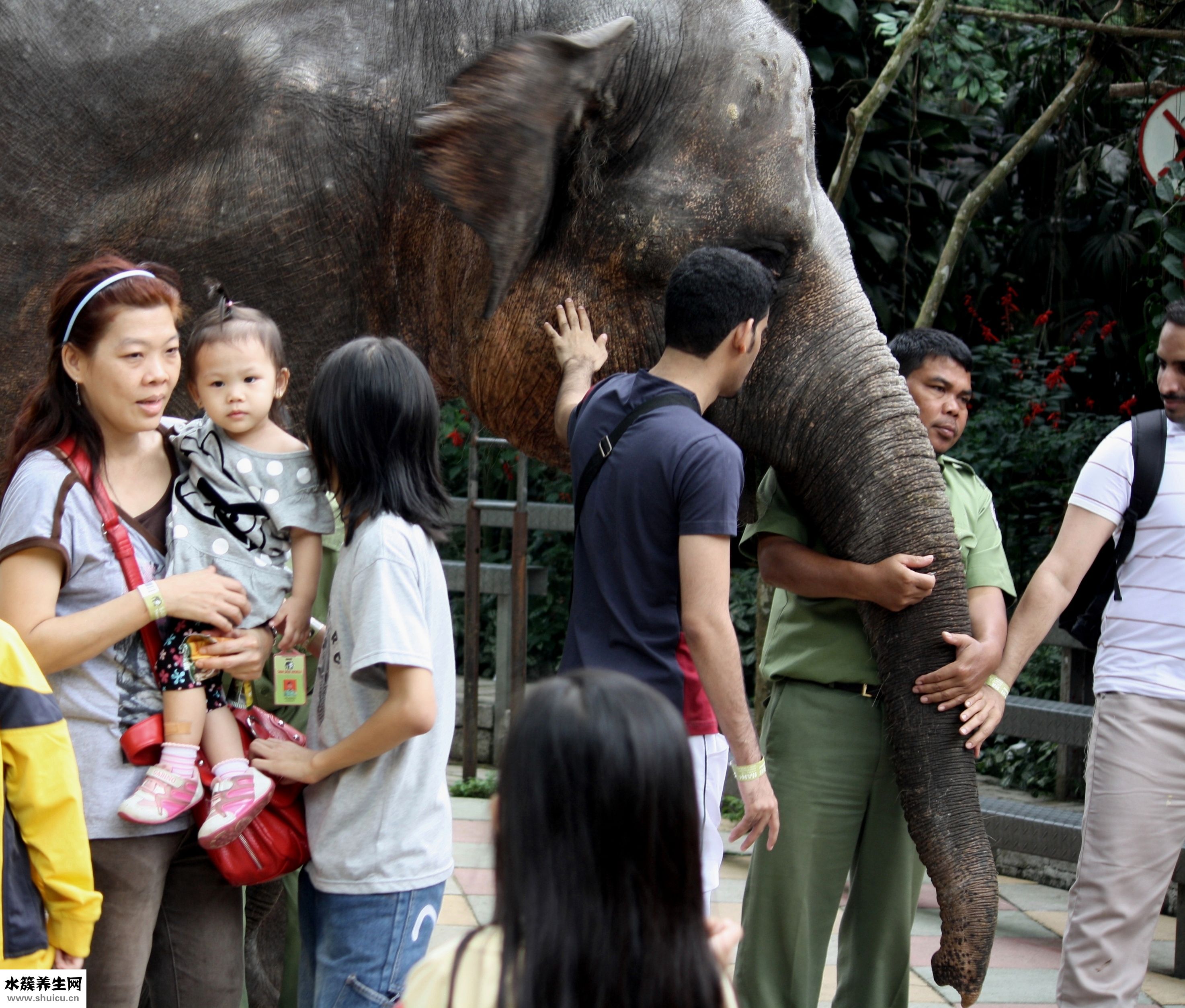 丁硼乳膏怎么用