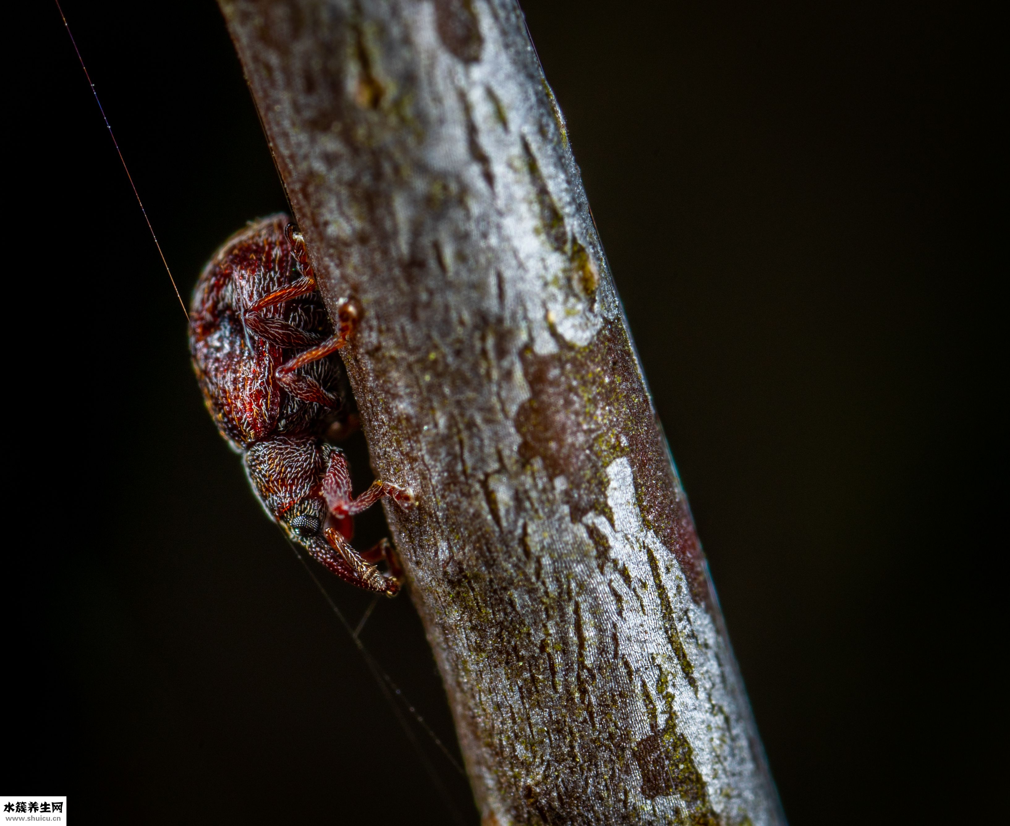 怎么练好民族舞