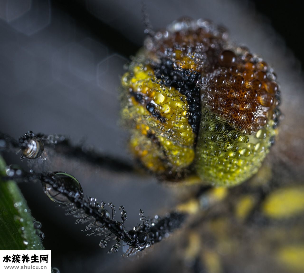 吃完饭总打嗝怎么办