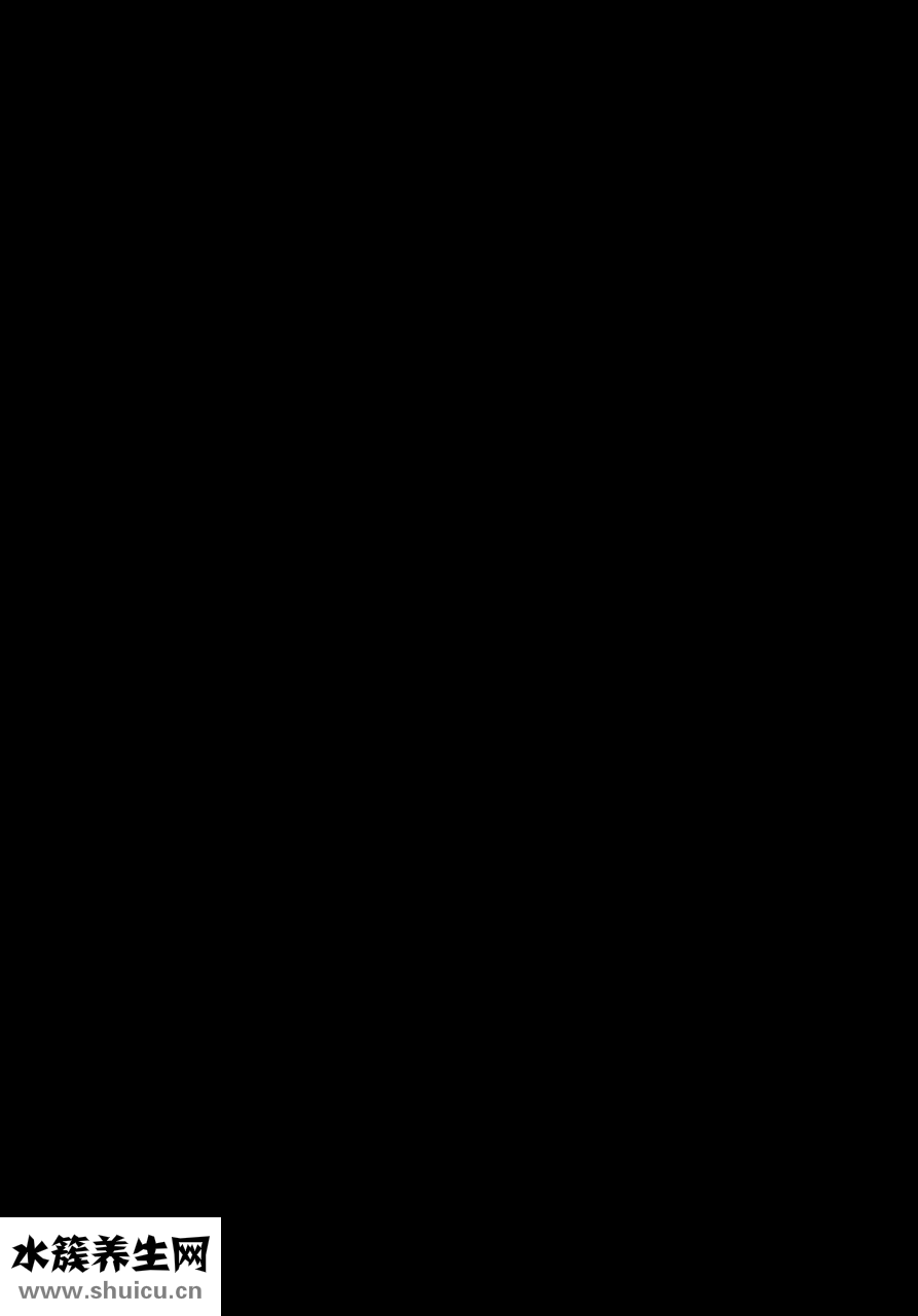 想撸怎么办