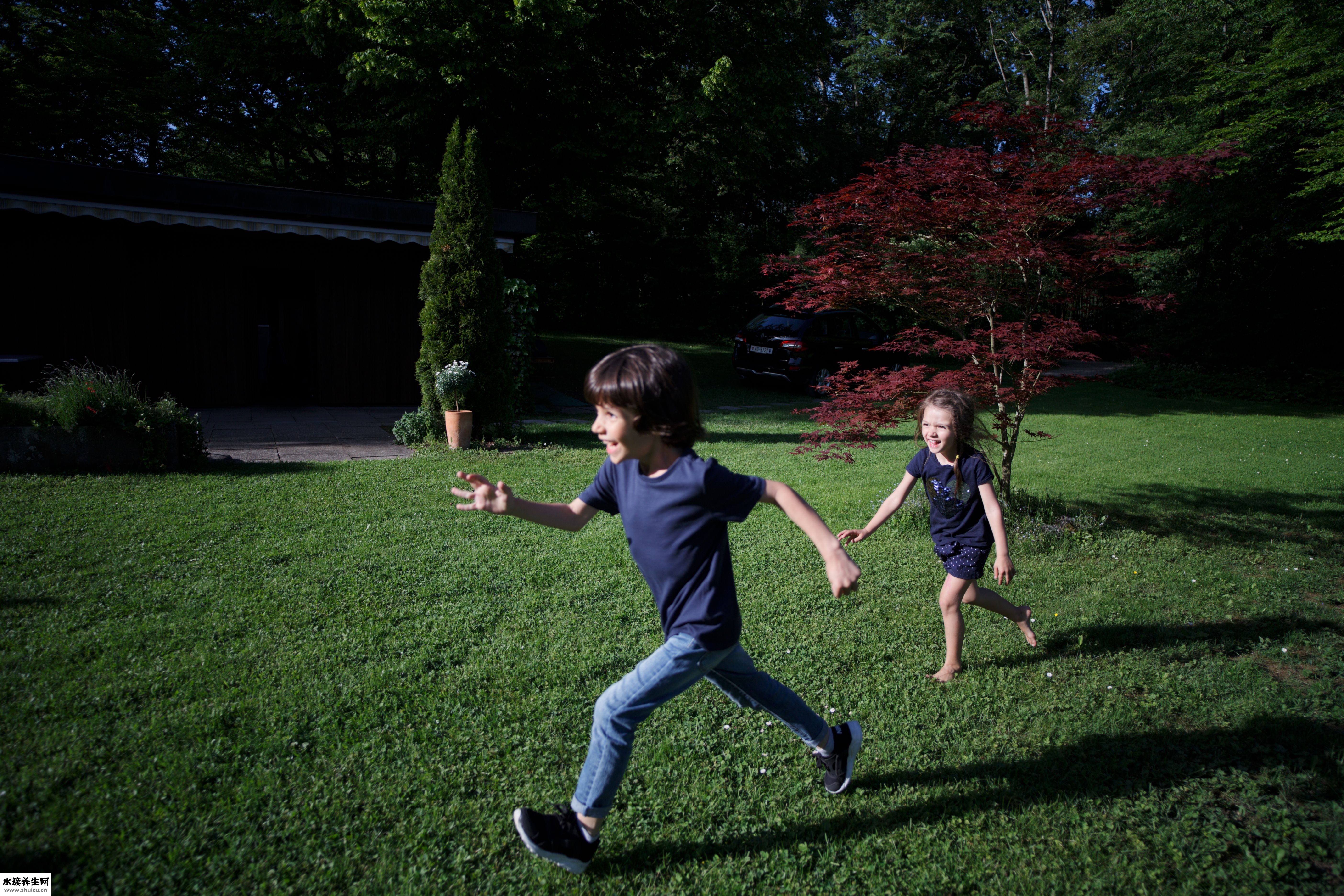 狗有皮肤病怎么办