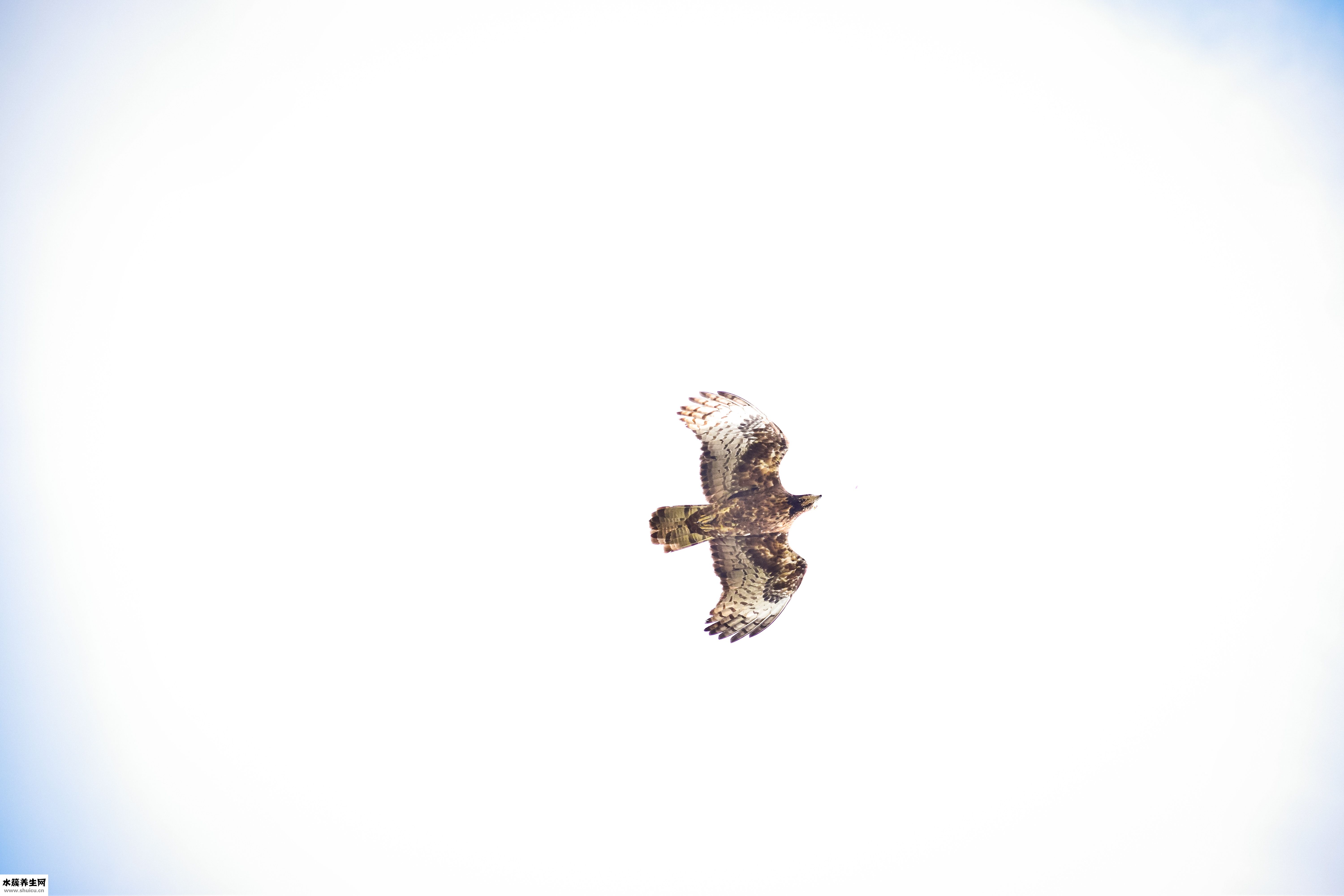 精子密度高怎么办