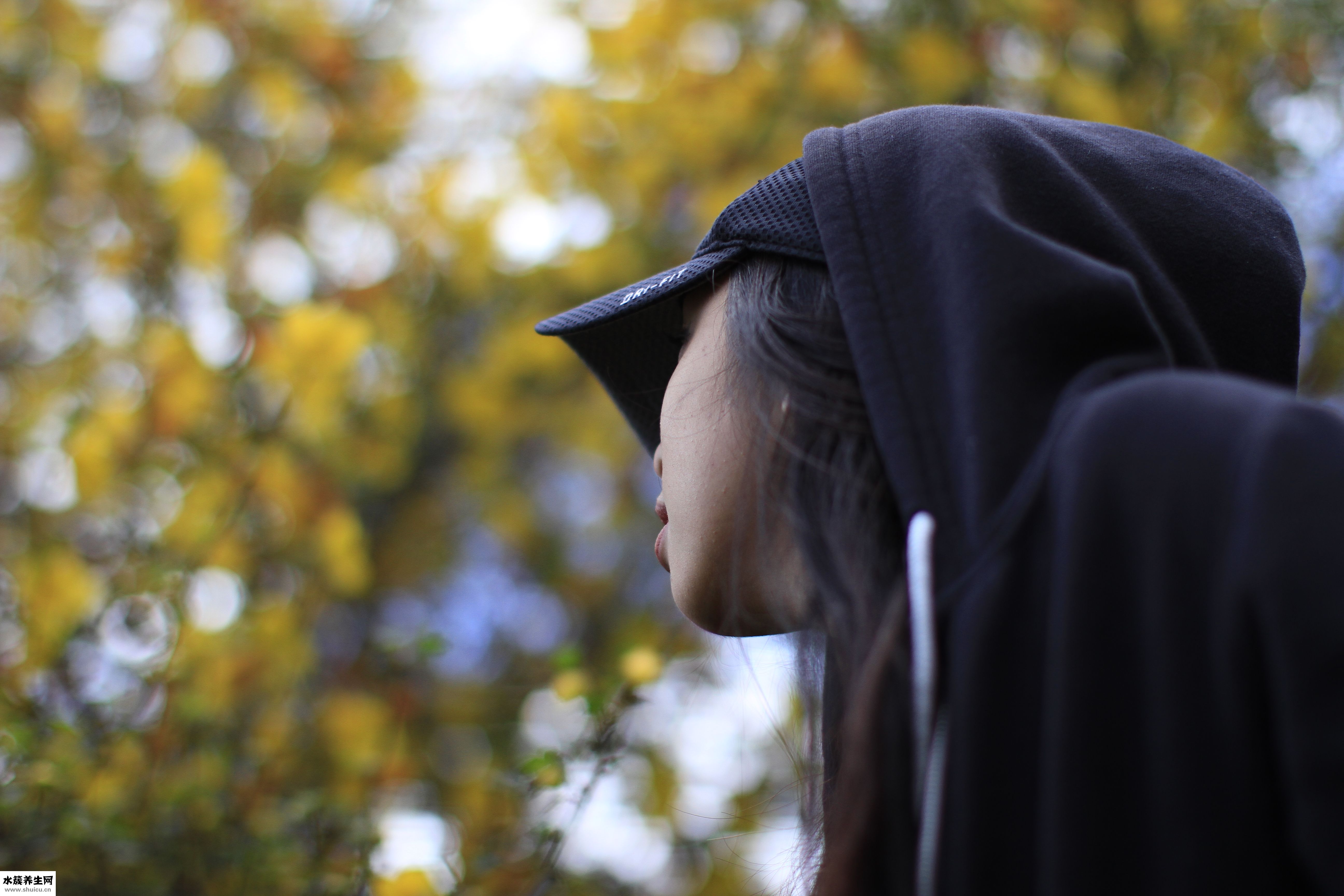 怎么正确洗头男