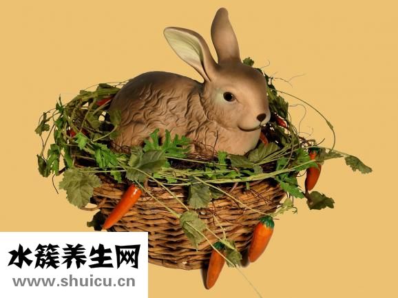 怀孕初期应注意合理饮食习惯不要吃太多油腻食物