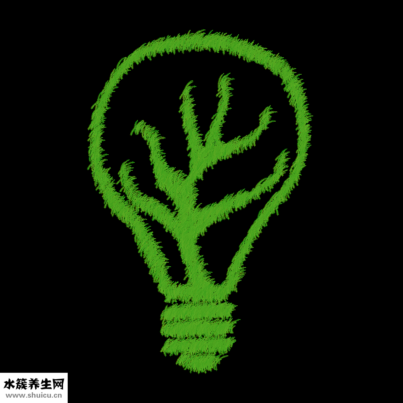 清艾条怎么用