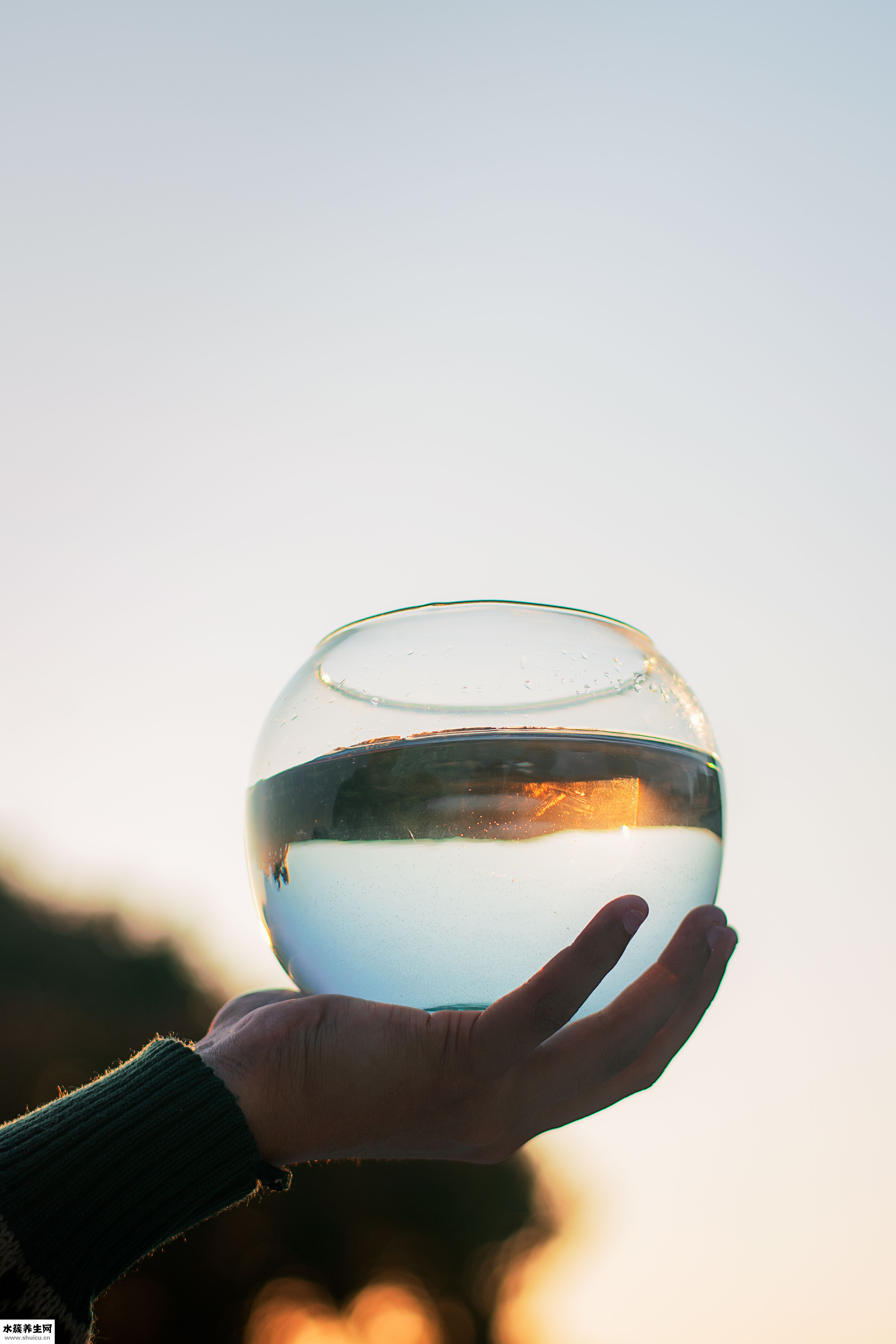 底过滤鱼缸怎么换水