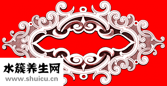 药柏怎么盘