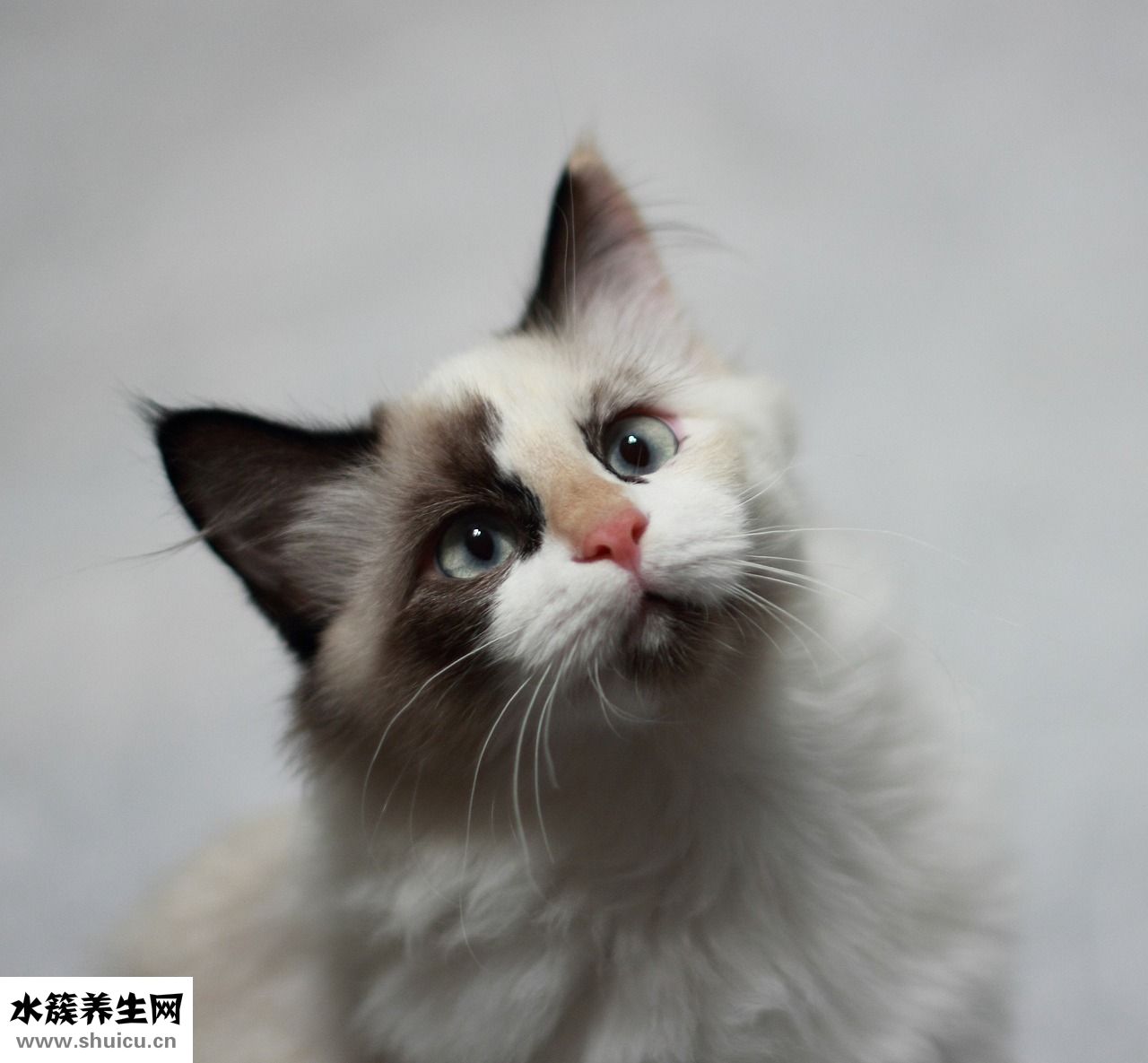 发尾微卷发型怎么弄