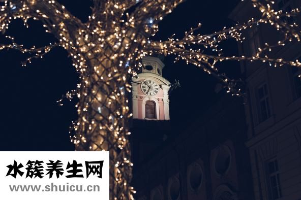 剩寿司怎么加热