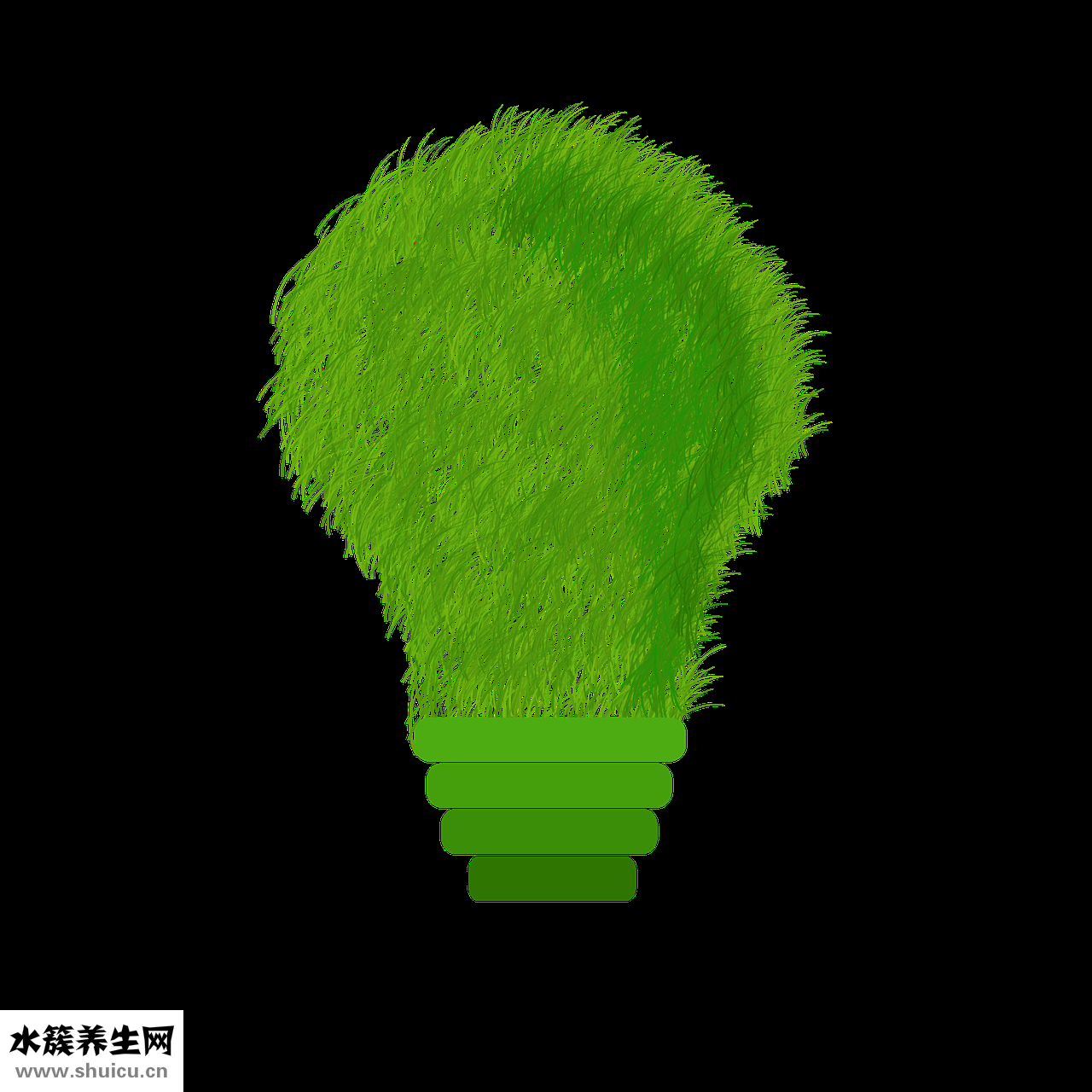 清艾条怎么用