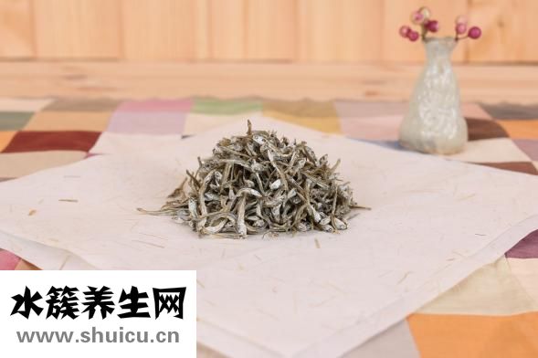 凤尾鱼下崽后怎么养