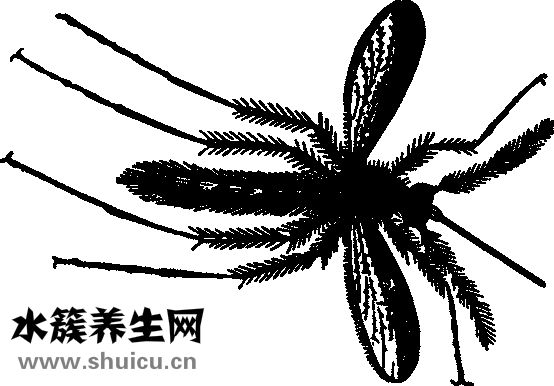 左手手心痒怎么回事