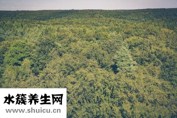 口嗅怎么治