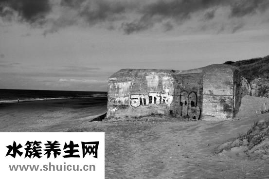 哈士奇生病怎么办
