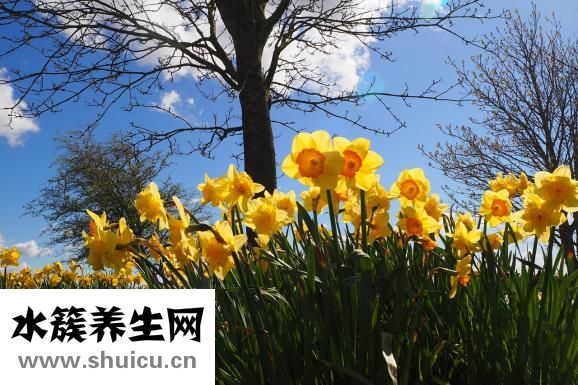 孩子拉黄水怎么办
