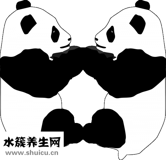 婴儿肚围怎么用