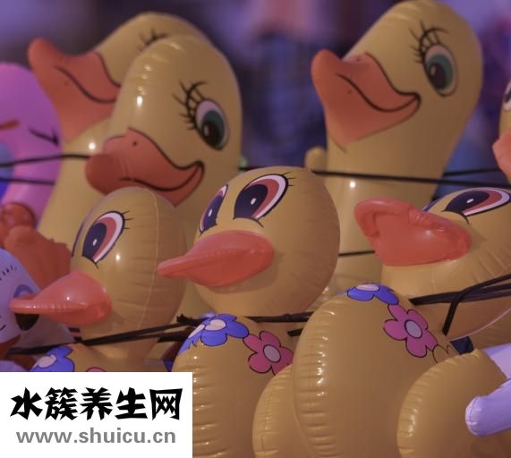 小鸭是怎么孵出来的