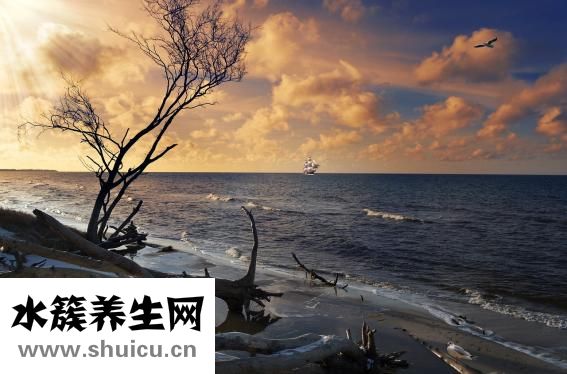 左太阳穴疼怎么办