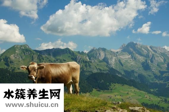 驱虫一粒清怎么吃