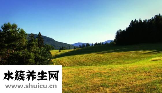 鸟笼怎么用