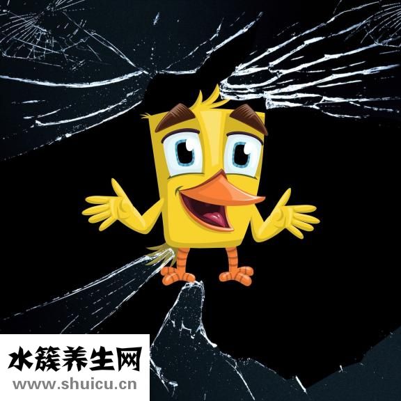阳痿怎么看出来