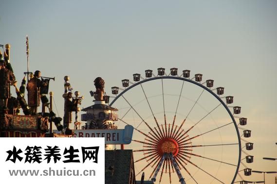 中年白发怎么治疗