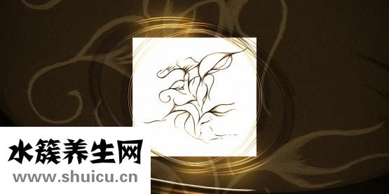 情侣套餐怎么办理