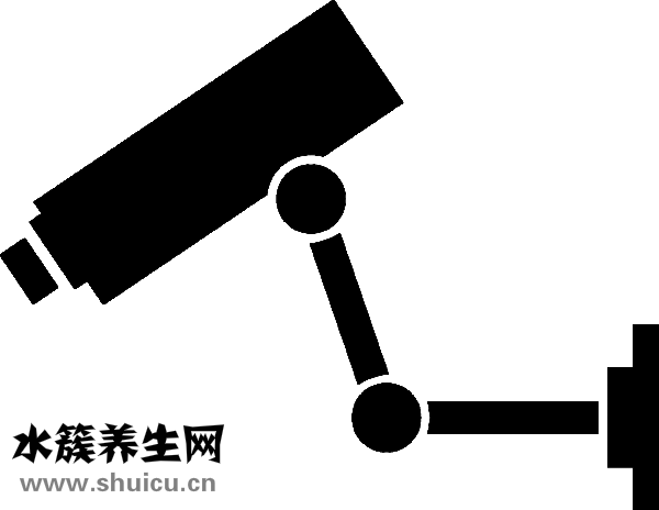 怎么让脸型变小