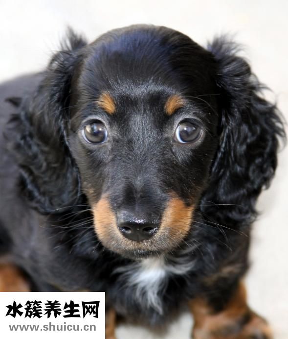 怎么才能永久性脱毛