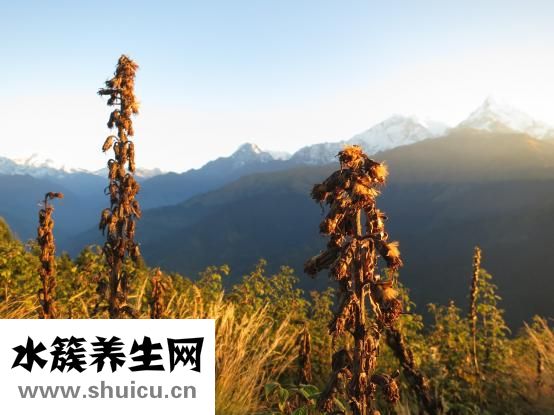 手术治疗须选用行完全除根目地病人挑选的鼻开裂
