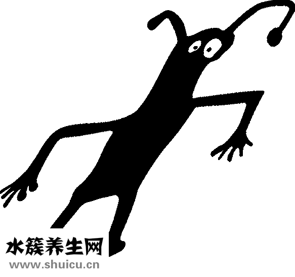 皮包泡水了怎么办