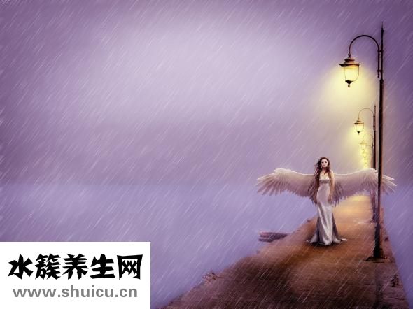 皮包泡水了怎么办