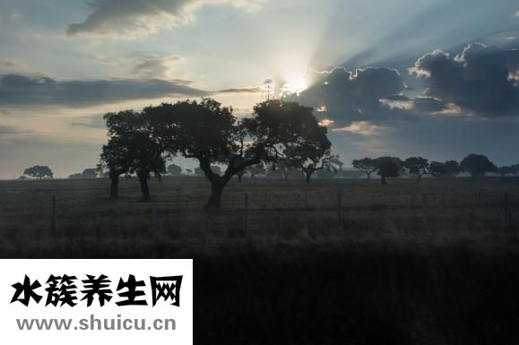中年白发怎么治疗？其实还是要注意饮食和生活习惯