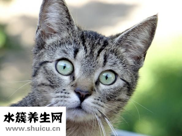 想撸的时候怎么办