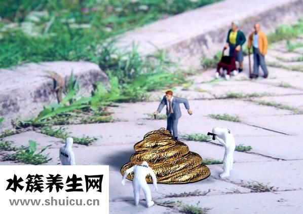 苤蓝菜怎么吃