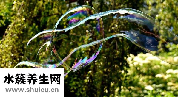牛苍蝇叮咬怎么处理