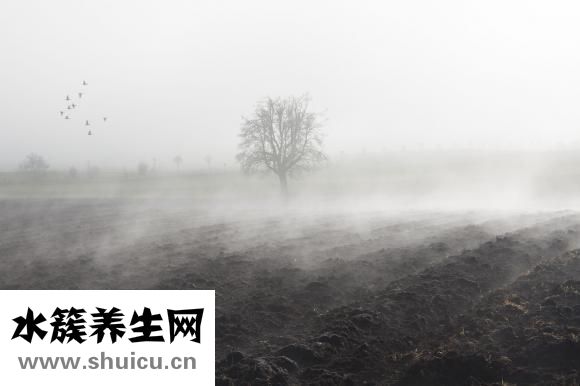 身体怎么护理