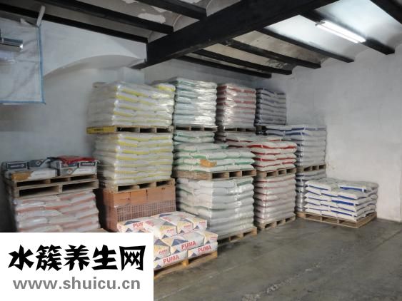 枸橼怎么念