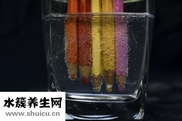 被臭虫吸血了怎么办