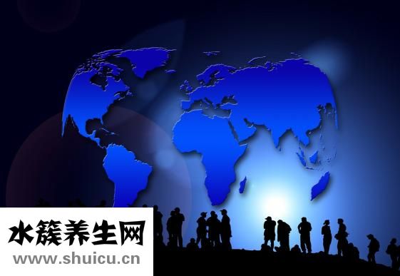 桦树怎么种